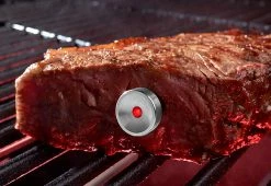 Wholesale โค๏ธ Intelligent Steak Thermometer by TecPoint USA โญ
