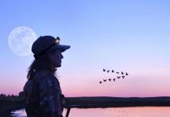 Coupon 😀 Multi-Purpose LED Headlamp by BISS Product Development, LLC 😀 -Outdoor Living shop 206971 z13