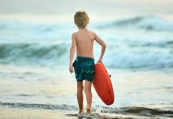 Top 10 🤩 Electric Kickboard by PAPAGO Inc. 💯 -Outdoor Living shop 207049 z10