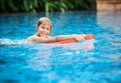 Top 10 🤩 Electric Kickboard by PAPAGO Inc. 💯 -Outdoor Living shop 207049 z8