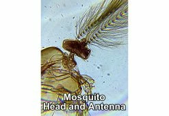 Budget 🔔 World’s Most Powerful Clip-On Microscope Kit by ScienceWiz 👍 -Outdoor Living shop 207184 z4