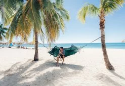 Buy 👏 Bug Proof Hammock Tent by Blue Ridge Outdoor Company 👍 -Outdoor Living shop 207283 z5