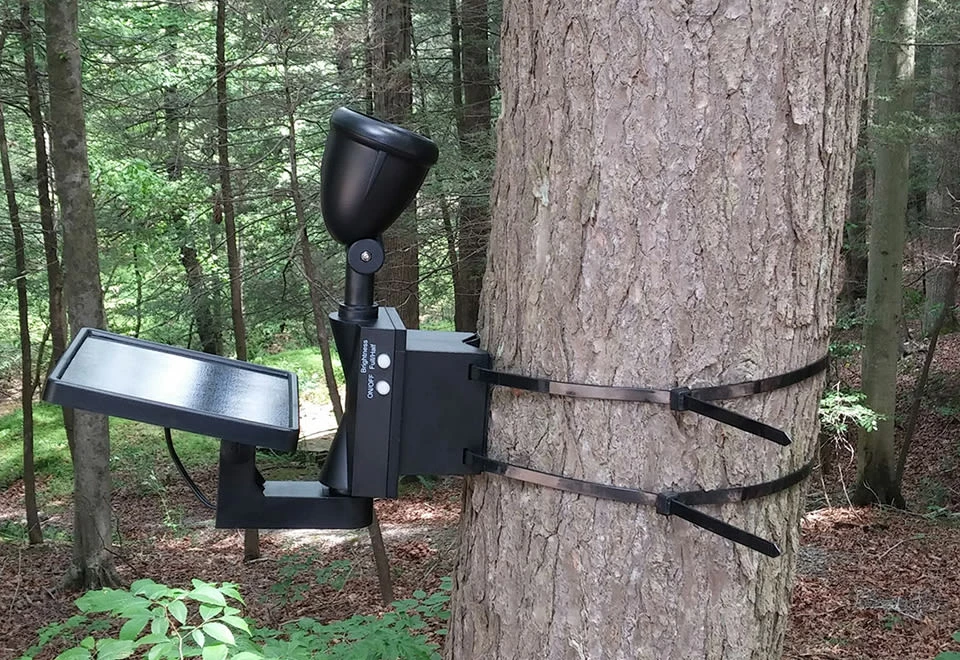 Flash Sale 🔔 Solar LED Flagpole Light by Maxsa Innovations 😍 10 Flash Sale 🔔 Solar LED Flagpole Light by Maxsa Innovations 😍 - Image 8