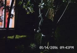 New ✨ Solar Security Video Camera and Floodlight by Maxsa Innovations ❤️ -Outdoor Living shop 207311 z4