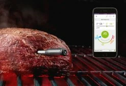 Best reviews of ✨ Wireless Meat Thermometer by Mastrad, Inc. 🤩