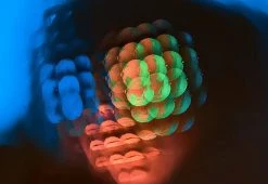 Hot Sale ๐ Handheld Photo Filters (Set of 3) by Fractals LLC ๐ 35 Hot Sale ๐ Handheld Photo Filters (Set of 3) by Fractals LLC ๐ -Outdoor Living shop 208298 z15