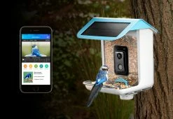 New 🔥 Video Camera Bird Feeder by Sharper Image 🎁