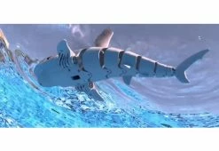 Outdoor Living shop -Outdoor Living shop 208600 z2